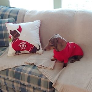 Meet your Posher, Joanne